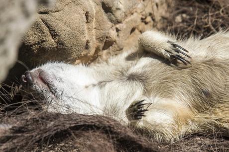 Parque Natural de Cabárceno