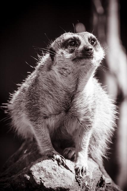 Parque Natural de Cabárceno