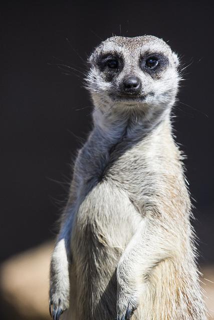 Parque Natural de Cabárceno