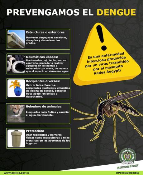 Forma de prevenir el dengue#salud#enfermedad#infografía