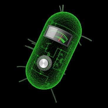 Alumnos de la UNAM logran medalla de oro en biología sintética