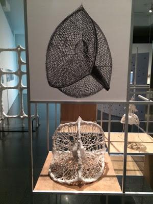 Diatomeas en el museo de arte