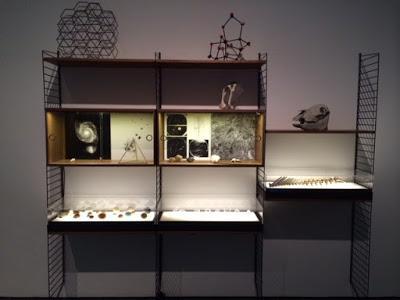 Diatomeas en el museo de arte