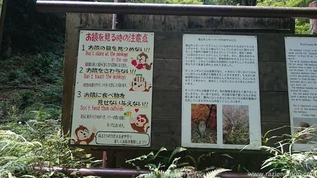 Nara, Arashiyama, Monos, ciervos y frikismo