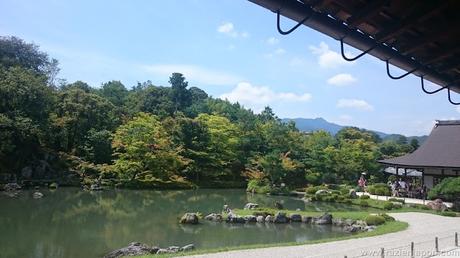 Nara, Arashiyama, Monos, ciervos y frikismo