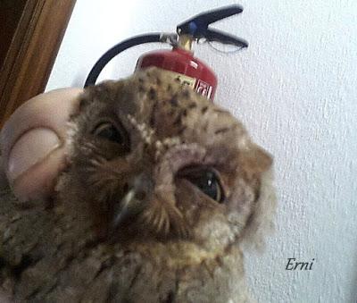 AMIGOS CONCIENCIADOS