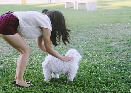 Un día de picnic (OOTD)