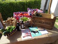 Que es el Santa Maria Polo Club???  en Sotogrande ,Cadiz