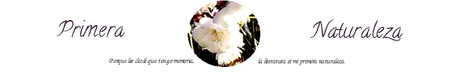 Talentos en la blogósfera #1: Primera naturaleza