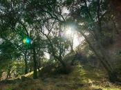 Protección solar verano para deportistas Consejos