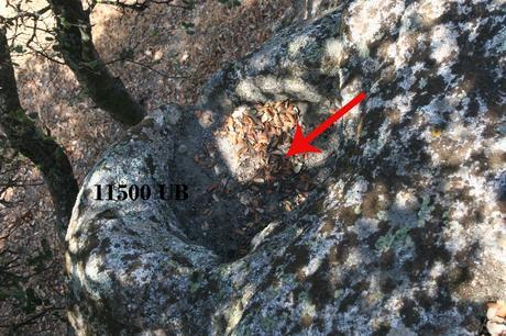 Patrimonio Telúrico de Malamoneda