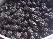 receta: mermelada moras casera