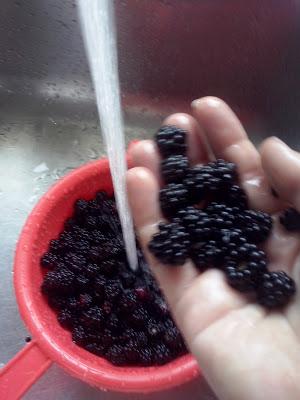 ☺ ☺ ☺ RECETA: MERMELADA DE MORAS CASERA