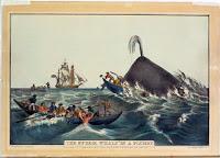 La real y truculenta historia que inspiró a Moby Dick