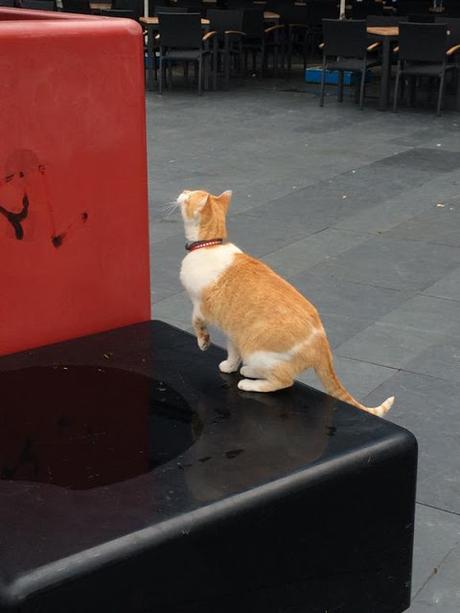 Algunas fotos del interior de las instalaciones nuevas de Corvus Belli