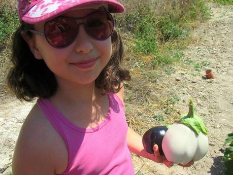 La Huerta, verdura fresca, turismo rural, casa rural, alpatró, vall de la gallinera, casita de baix, el castellot, blog solo yo, solo yo, blog diario