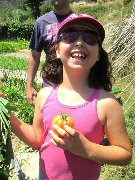 La Huerta, verdura fresca, turismo rural, casa rural, alpatró, vall de la gallinera, casita de baix, el castellot, blog solo yo, solo yo, blog diario