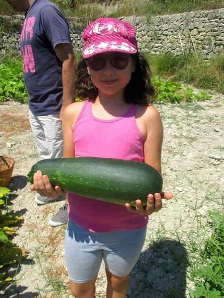 La Huerta, verdura fresca, turismo rural, casa rural, alpatró, vall de la gallinera, casita de baix, el castellot, blog solo yo, solo yo, blog diario