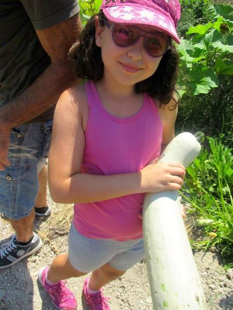 La Huerta, verdura fresca, turismo rural, casa rural, alpatró, vall de la gallinera, casita de baix, el castellot, blog solo yo, solo yo, blog diario