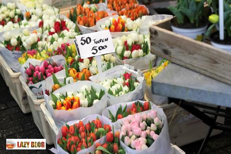 Amsterdam, que hacer, que ver y dónde comer en la capital de Holanda