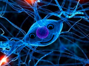 ¿las neuronas piensan?