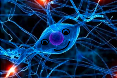 ¿LAS NEURONAS PIENSAN?