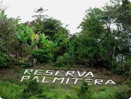reserva palmitera