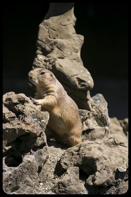 Parque de Cabárceno