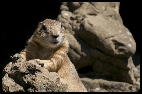Parque de Cabárceno
