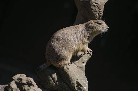 Parque de Cabárceno