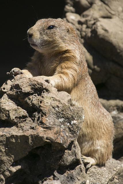Parque de Cabárceno