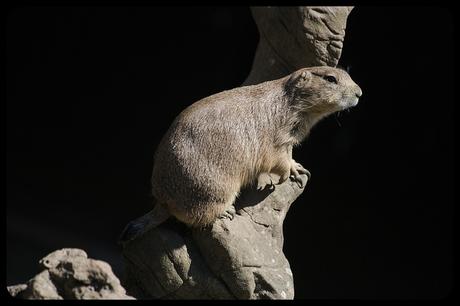 Parque de Cabárceno