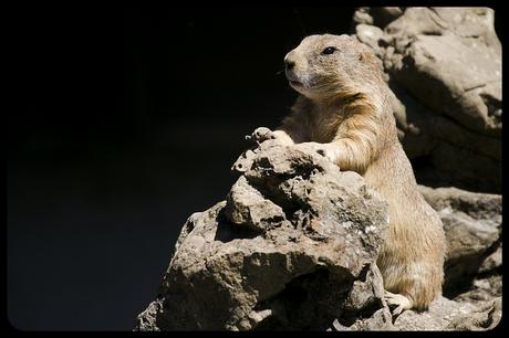 Parque de Cabárceno