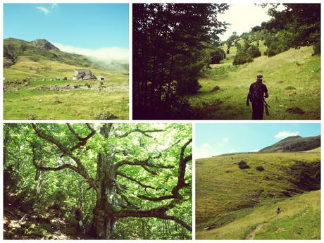 Camino de Zemeto. Valle de Belagua (Navarra)