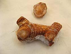 Canelones de Puerro Rellenos de Pollo y Verduras