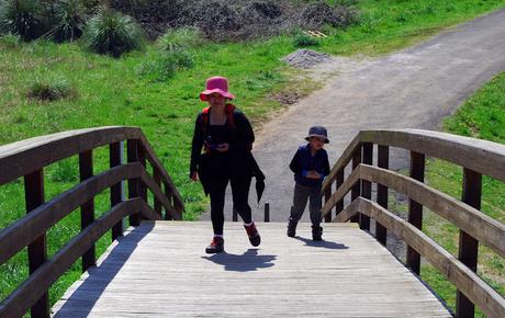 Paseo desde Borleña a Puente Viesgo