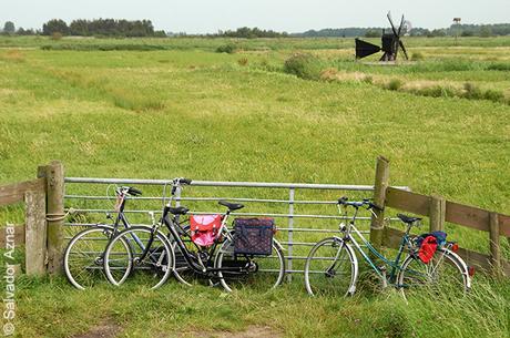 El uso de las bicicletas en Holanda