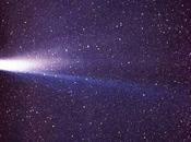 Edmond Halley cometa