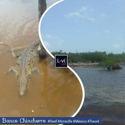 Banco Chinchorro, Quintana Roo México. L-vi.com Banco Chinchorro, Quintana Roo México. L-vi.com