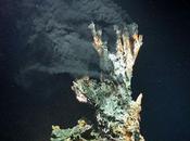 vida alrededor fuentes hidrotermales