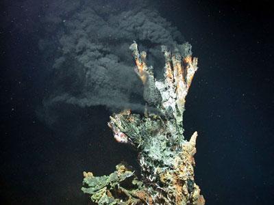 La vida alrededor de las fuentes hidrotermales