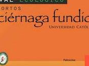 Video: abuela María-La luciérnaga fundida