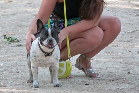 ¡Nuevo look! Shorts de estampado tropical de BraveSoul