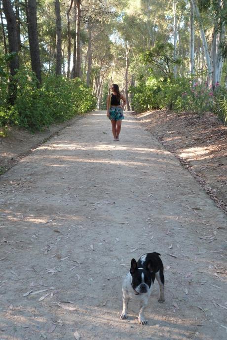 ¡Nuevo look! Shorts de estampado tropical de BraveSoul