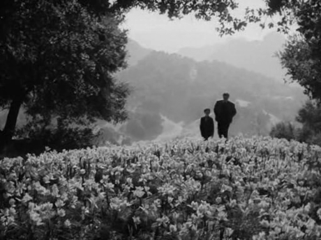 How green was my valley - 1941