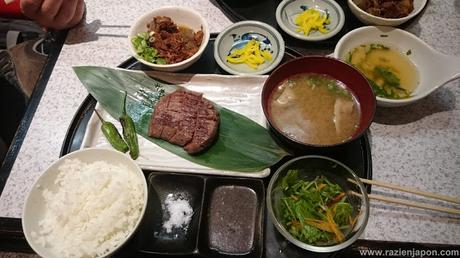 Disfrutando OSAKA en 3 Días (+ Himeji + Kobe)
