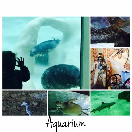 Vacaciones En: BIARRITZ