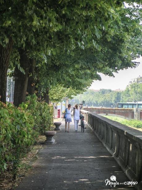 Parma, colores pasteles y bicicletas IMG_0014