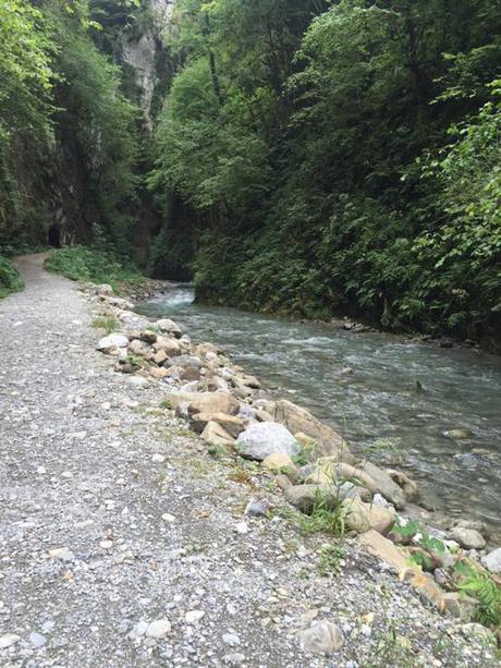 11870863_762340127210421_6625388917158690072_n