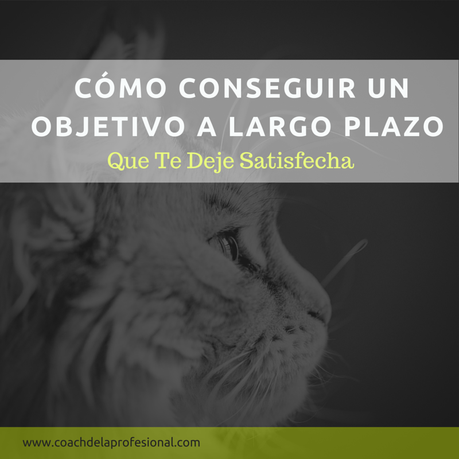 foto de gato pensativo